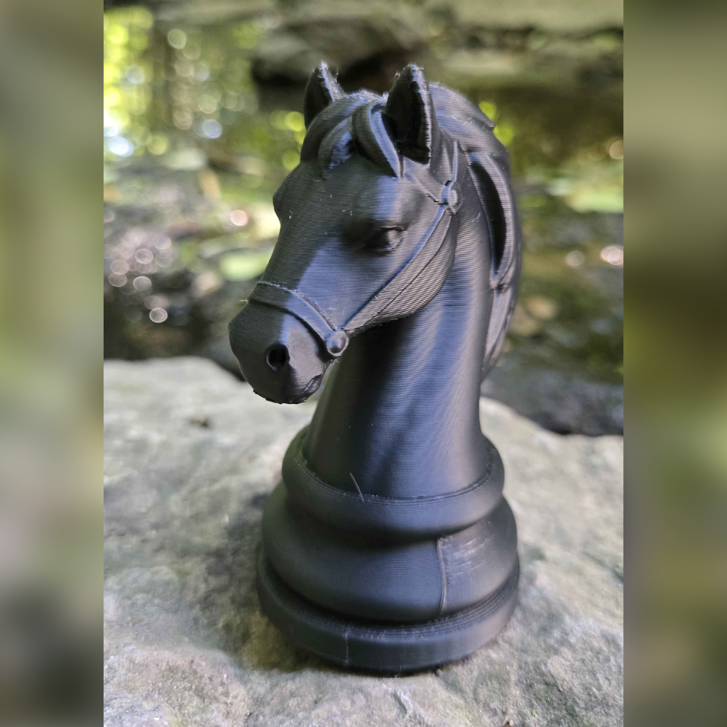 horse_black_001